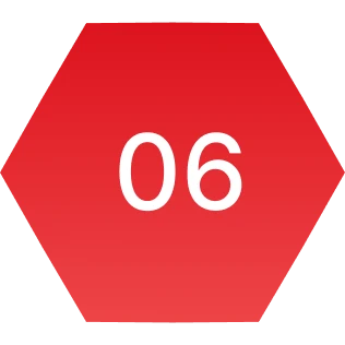 06