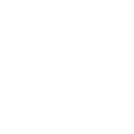 NCLT Icon