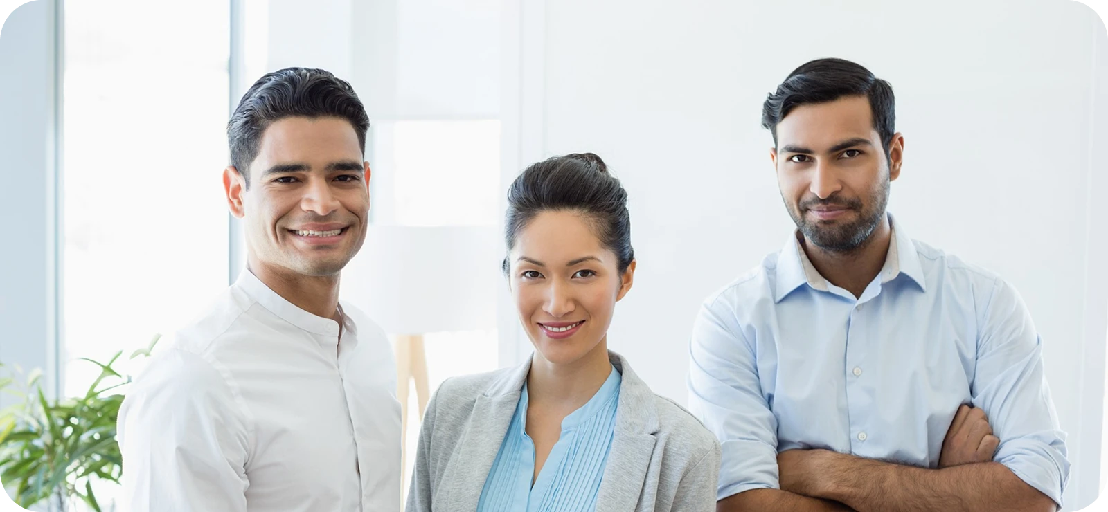 Expert Team